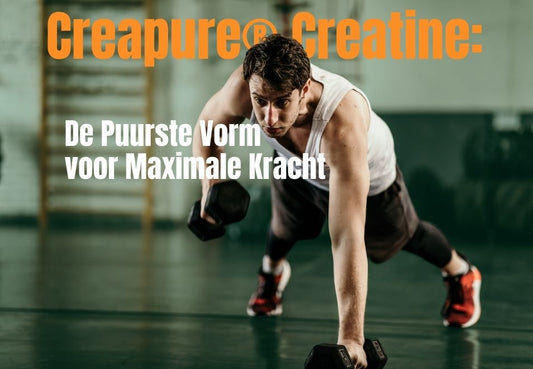 Creapure® Creatine: De Puurste Vorm voor Maximale Kracht