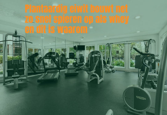 Plantaardig eiwit bouwt net zo snel spieren op als whey en dit is waarom
