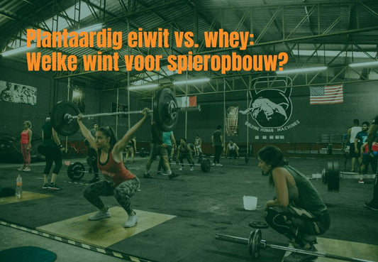 Plantaardig eiwit vs. whey: Welke wint voor spieropbouw?