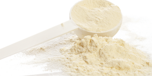 Het effect van eiwitkwaliteit op herstel na training