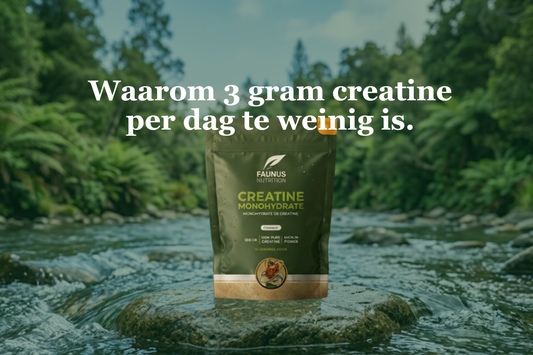 Hoe snel werkt creatine? (En wanneer verspil je je geld)