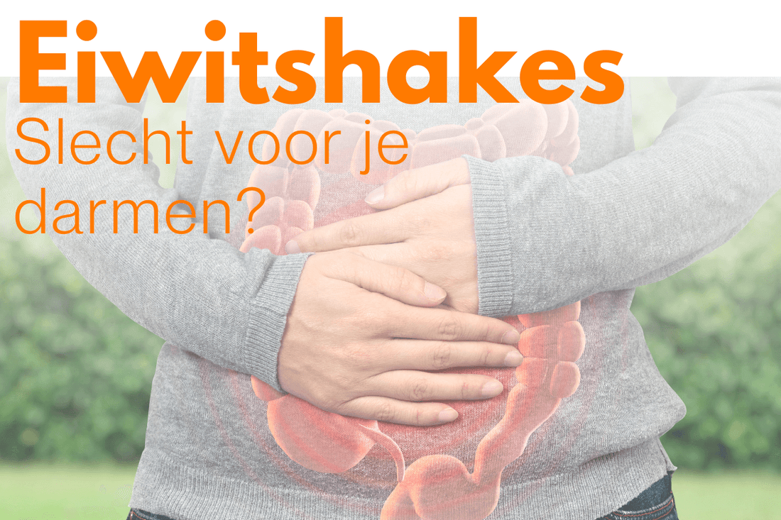 zijn eiwitshakes slecht voor je darmen? eiwitten en darmen