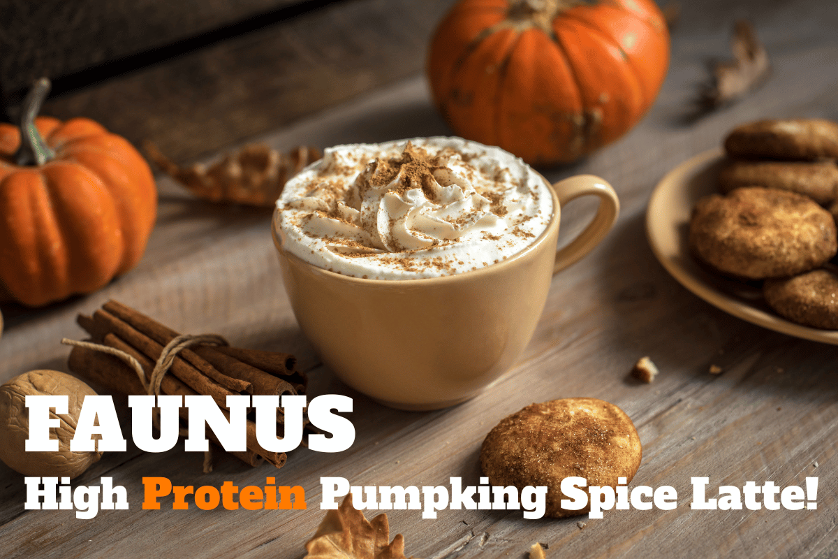 Faunus high protein pumpking spice latte | proteïne pompoen spice latte