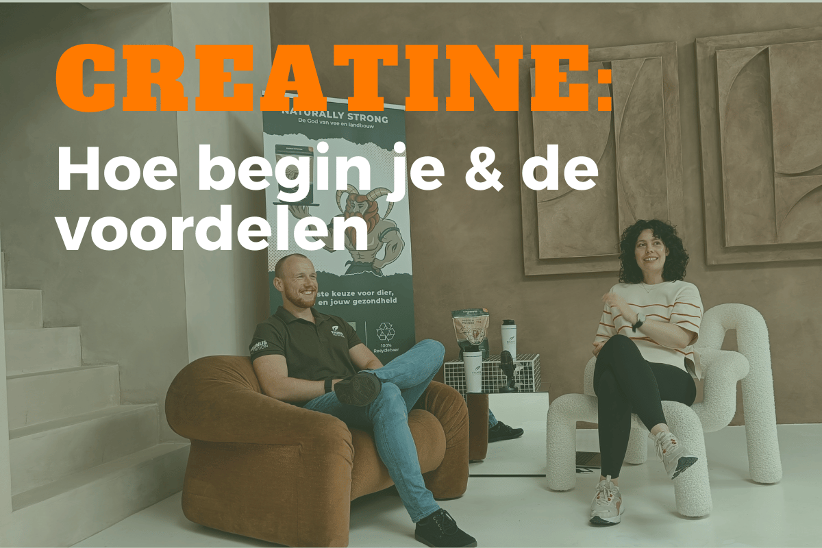 Creatine: Hoe Begin Je Ermee en Wat Zijn de Voordelen?