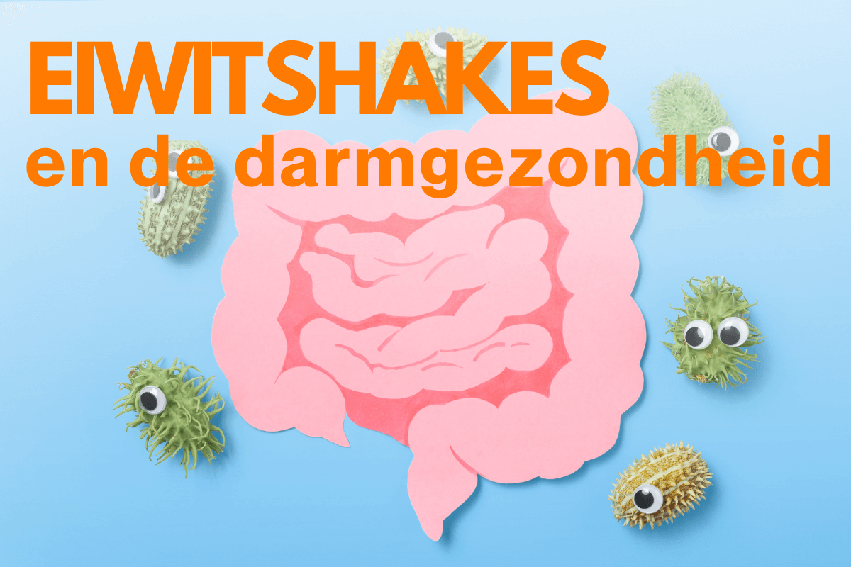 eiwitshake en de darmgezondheid, eiwitten microbioom, darmflora